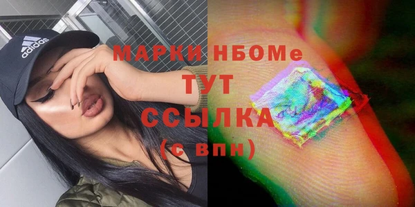 шишки Арсеньев