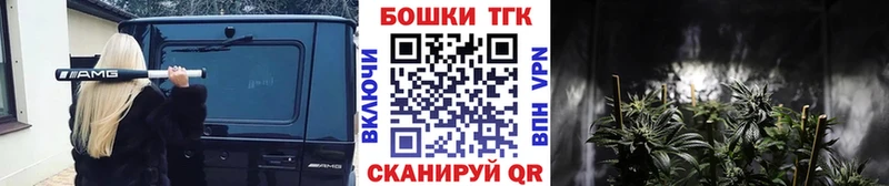 цена наркотик  Каргополь  Конопля индика 